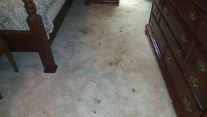 Before & After Carpet Cleaning in Dunwoody, GA (1)